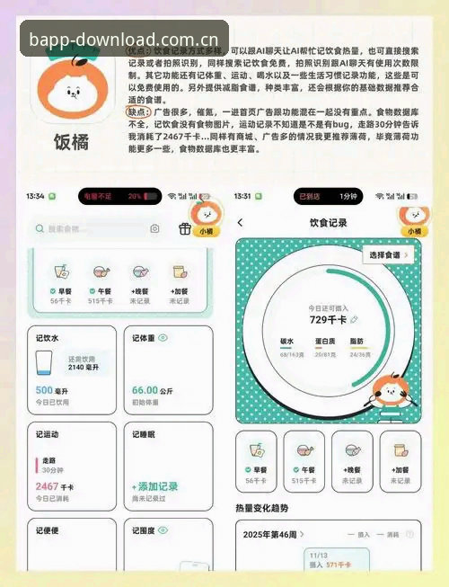 BAPP最新版本下载深度评测：别急着点安装，先搞懂这几点再动手